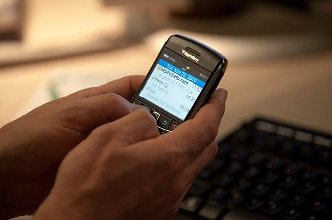 blackberry