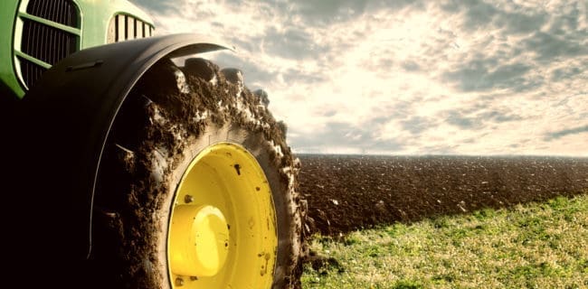 rural economy