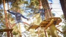 Go Ape