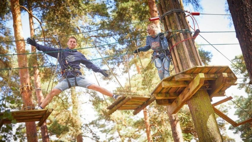 Go Ape