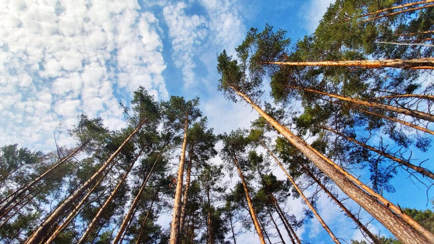 carbon reduction