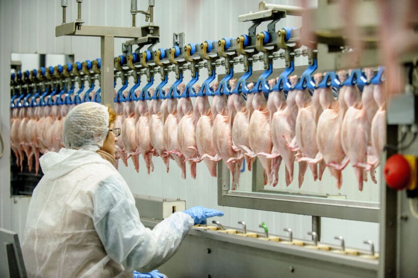 Food processing