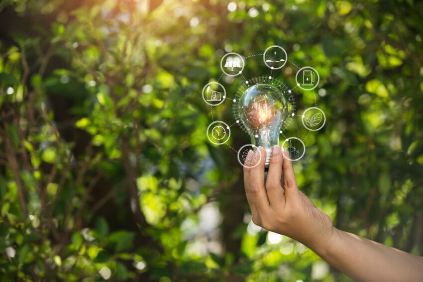 Light,Bulbs,That,Grow,,In,The,Concept,Of,Energy,In