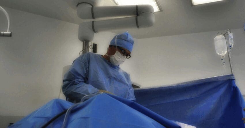 Andrej Grajn is an accomplished organ procurement surgeon with a deep-rooted passion for transplant surgery and understanding the ways the world actually works.