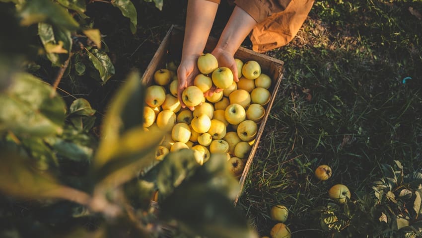 British food and drink businesses are bracing for a fresh wave of cost pressure after global food commodity prices climbed for the third consecutive month, with fallout from the conflict in Iran emerging as a significant driver of the latest increase.
